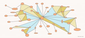 The web of spiderman